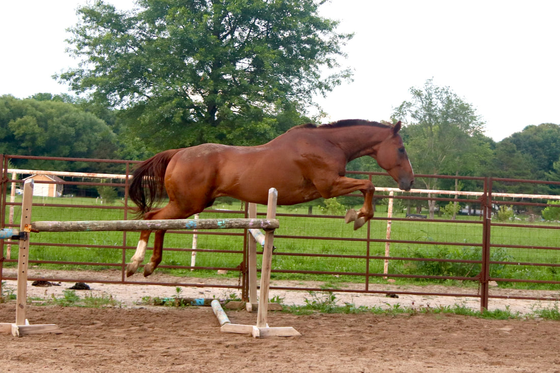 img-0304_orig